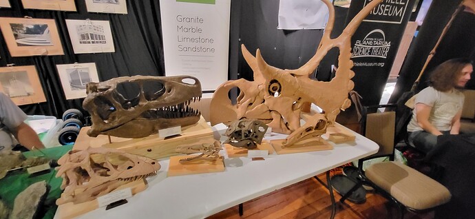 NCFCFossilFair2025_small (21)