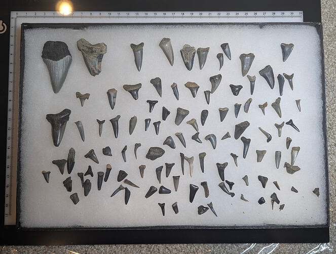 PXL_20260106_225811081