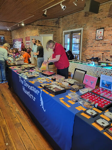 NCFCFossilFair2025_small (9)