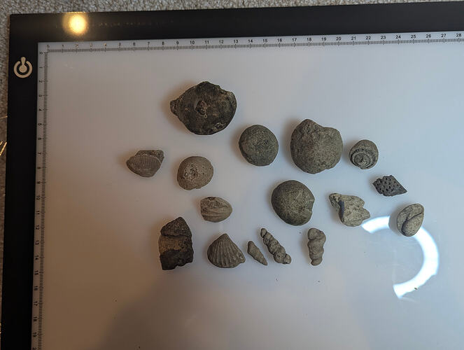 PXL_20260106_230509924